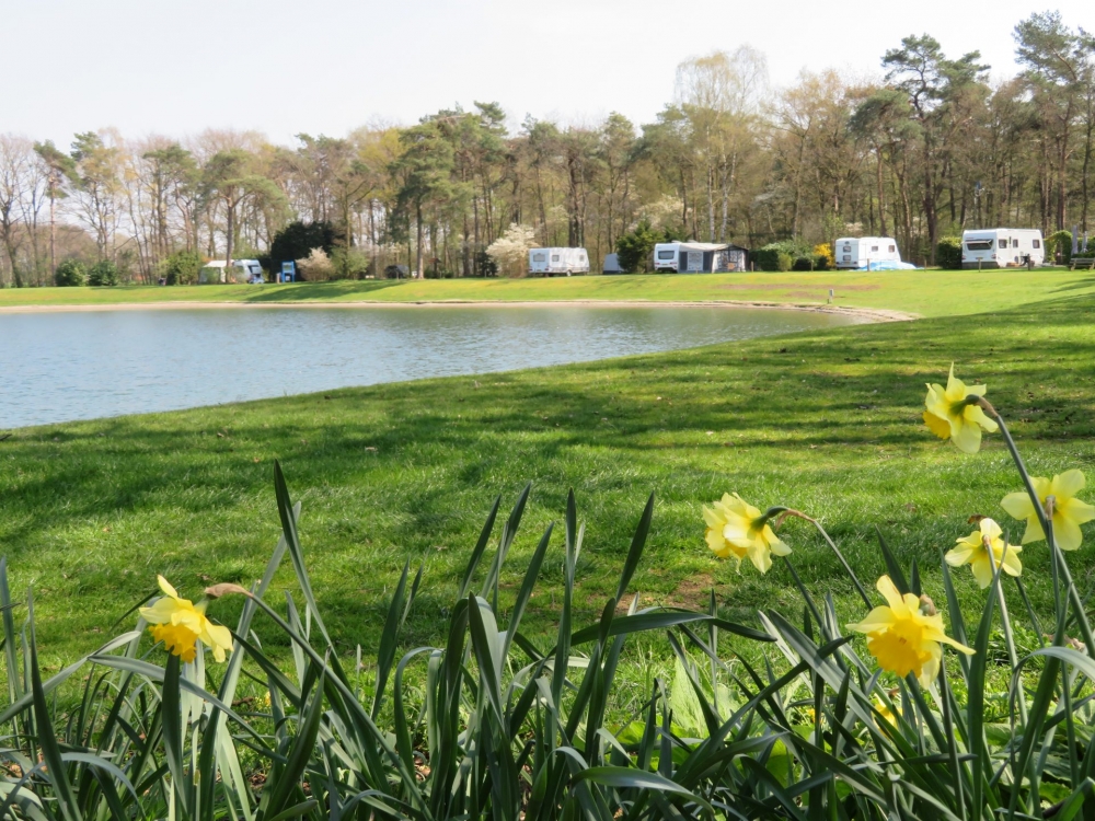 natuurkampeerterreinen IMG 0303