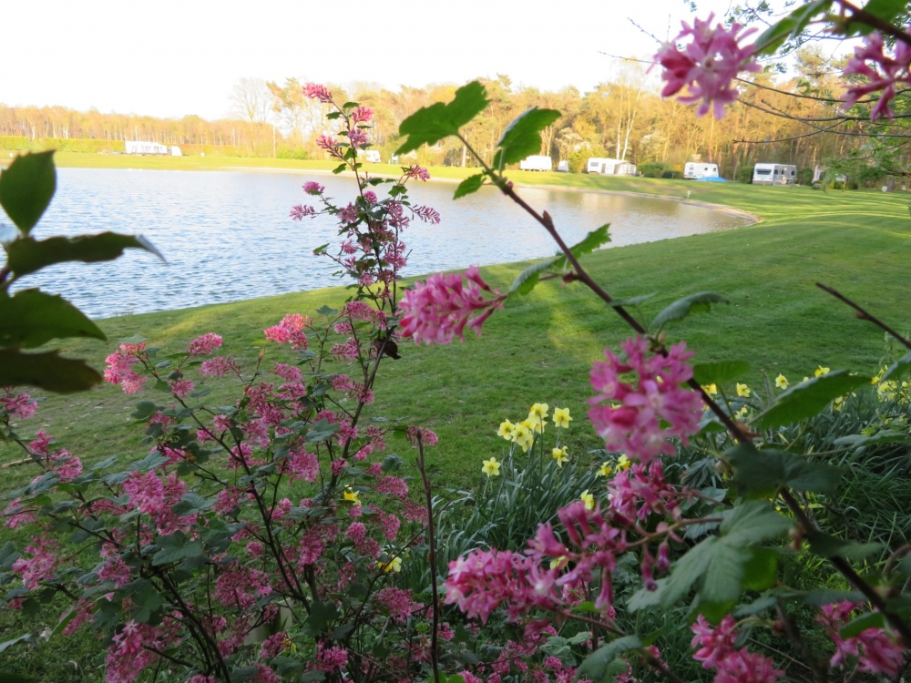 natuurkampeerterreinen IMG 0305