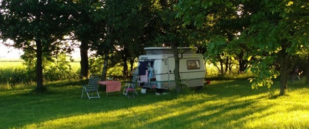 natuurkampeerterreinen kamperen onder bomen-tin