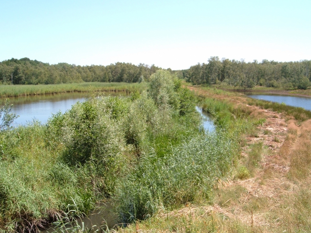 natuurkampeerterreinen land van weert
