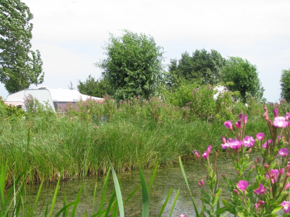 natuurkampeerterreinen terreinbezoek 25-07-08 026