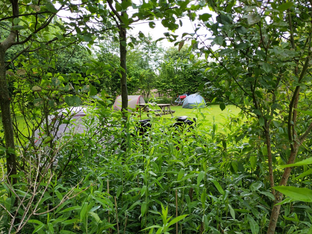 natuurkampeerterreinen 1