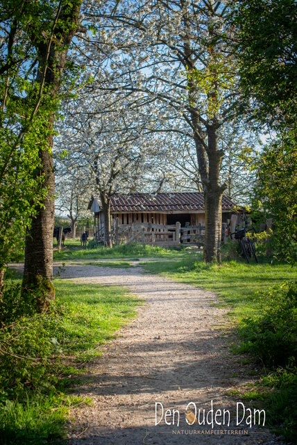 natuurkampeerterreinen 2025 april DenOudenDam-Geitenstal