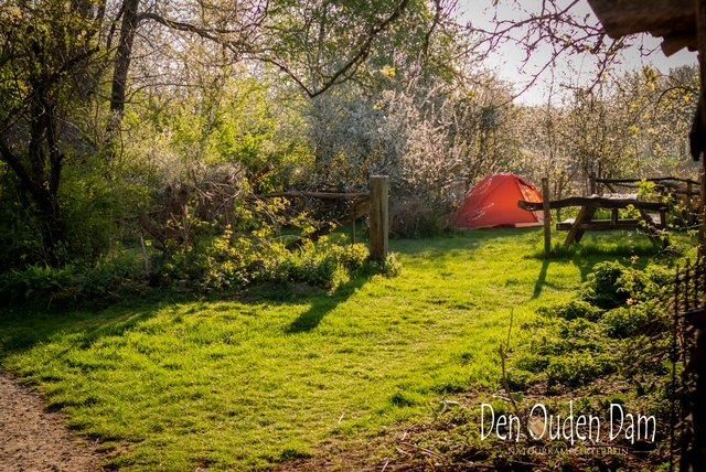 natuurkampeerterreinen 2025 april DenOudenDam-Trekkersveld