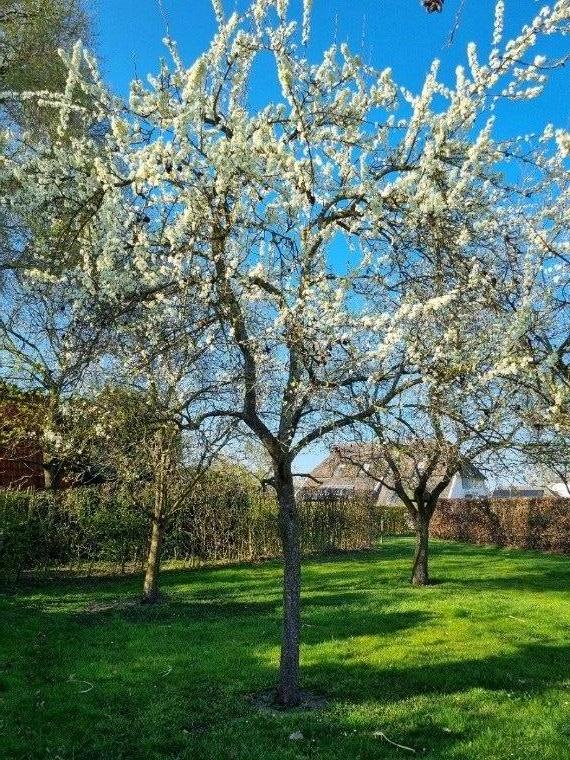 natuurkampeerterreinen 2 2