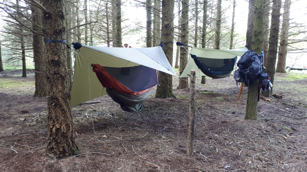 natuurkampeerterreinen 2 Twilhaar Groot