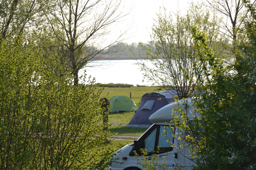 natuurkampeerterreinen DSC 6996