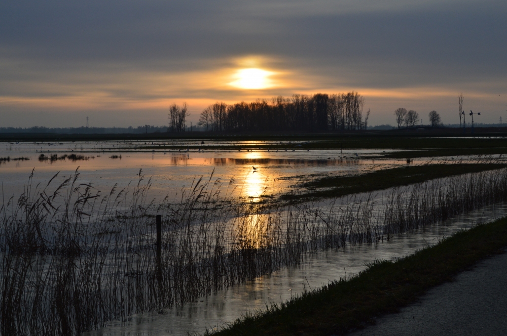 natuurkampeerterreinen De Knotwilg 3