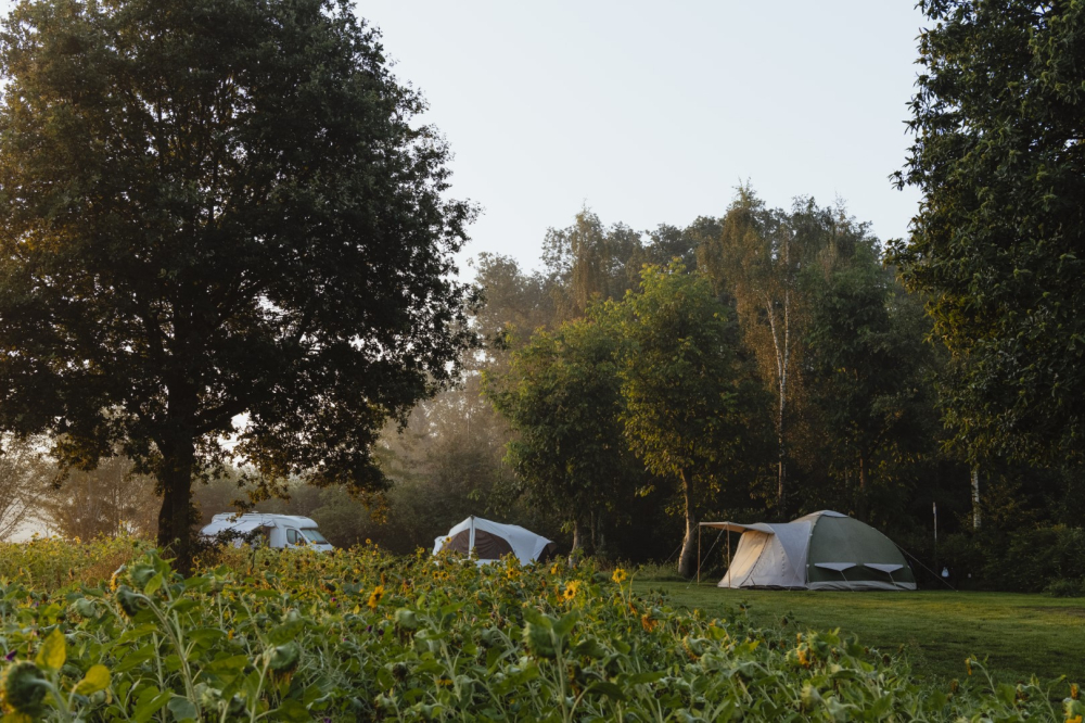 natuurkampeerterreinen Groot tScharvelt-23 