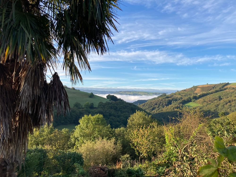 natuurkampeerterreinen IMG-20210930-WA0002