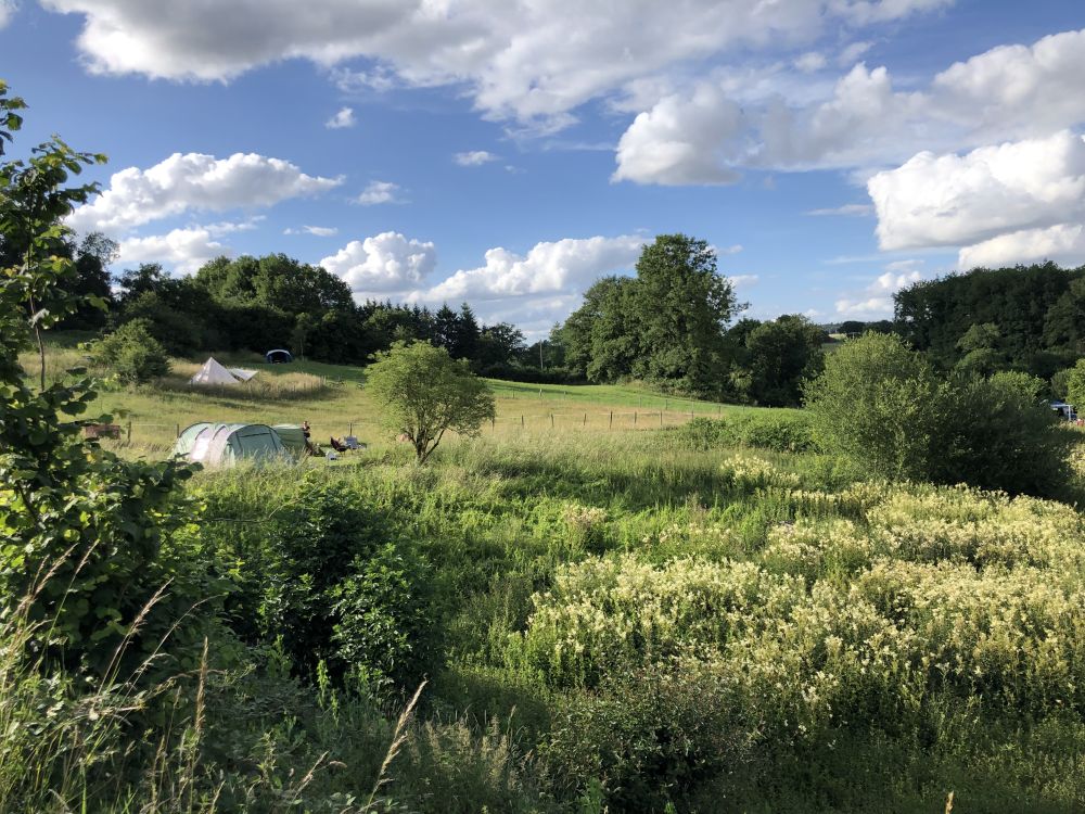 natuurkampeerterreinen IMG 9937 1