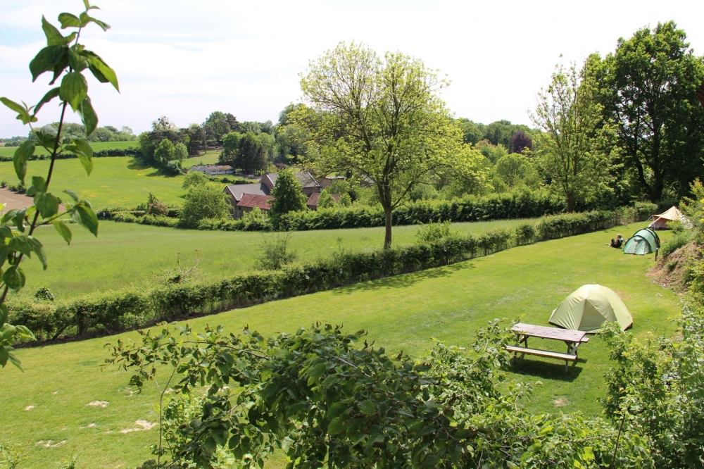 natuurkampeerterreinen Kampeerterrein Hoeve Krekelberg -Limburg 43