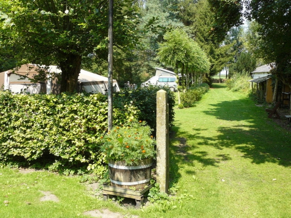 natuurkampeerterreinen P1160437