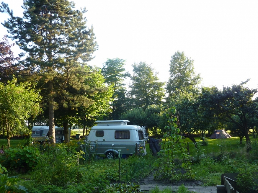 natuurkampeerterreinen Wildemansheerd11