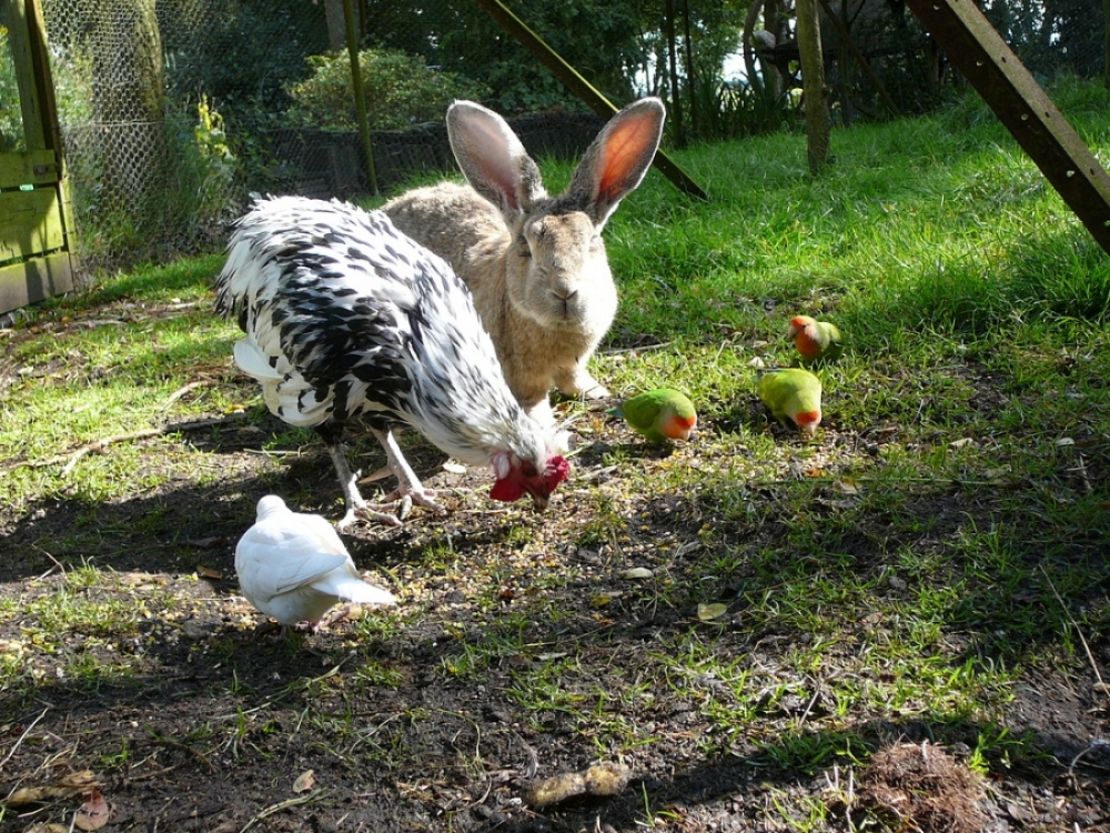 natuurkampeerterreinen Wildemansheerd9