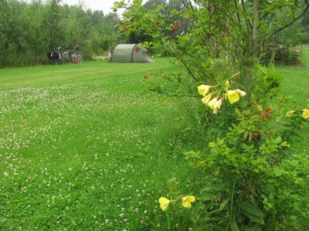 natuurkampeerterreinen camping biezen2027 7
