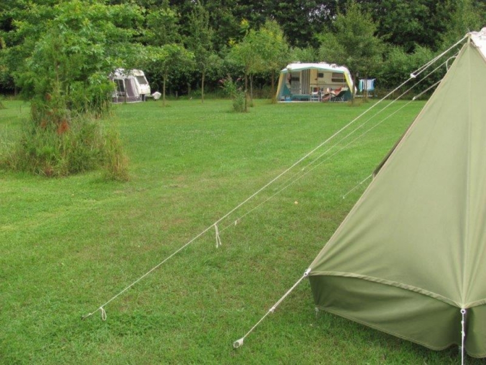 natuurkampeerterreinen camping de biezen2426 18