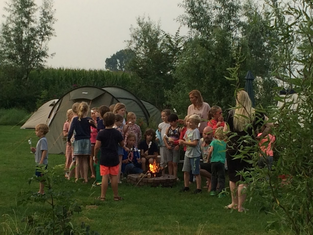 natuurkampeerterreinen groep kinderen bij vuurplaats