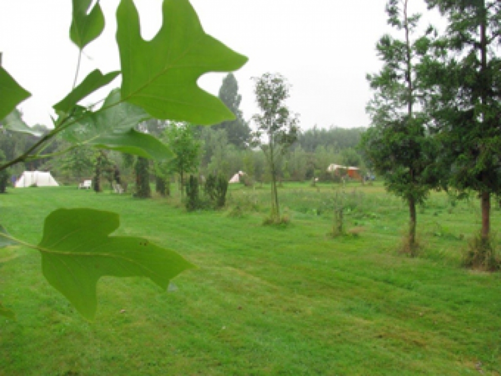 natuurkampeerterreinen img 2761