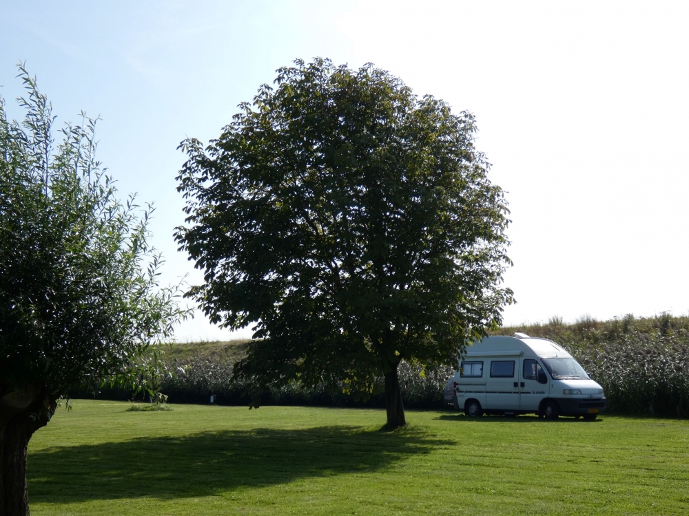 natuurkampeerterreinen kreek rietkraag