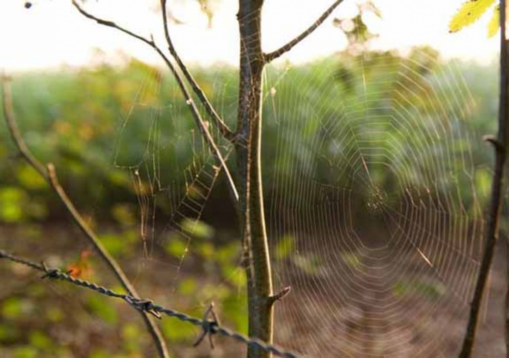 natuurkampeerterreinen stilleven hardewerker